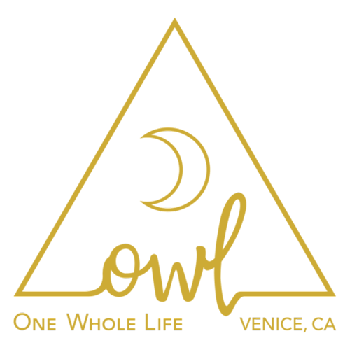 OWL Venice